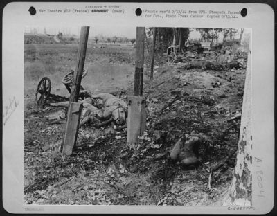 Enemy equipment and soldiers knocked out by bombing and strafing attacks by fighter-bombers of Tactical Air Force lined the roads between Montelimar and Valence on the Rhone River in Southern France.